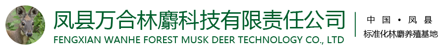 林麝养殖丨麝香丨林麝养殖加盟丨林麝基地|林麝技术
